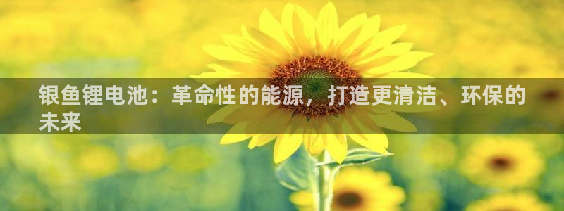 尊龙凯时app官网：银鱼锂电池：革命性的能源，打造更清洁、环保的
未来