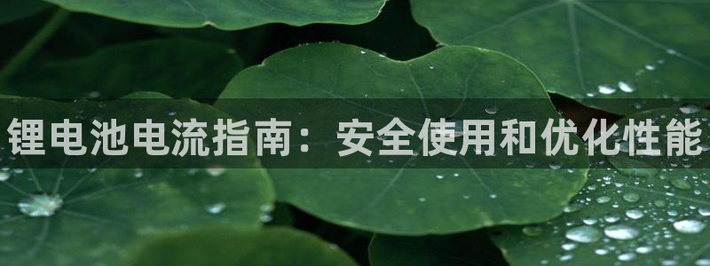 尊龙官方网址：锂电池电流指南：安全使用和优化性能