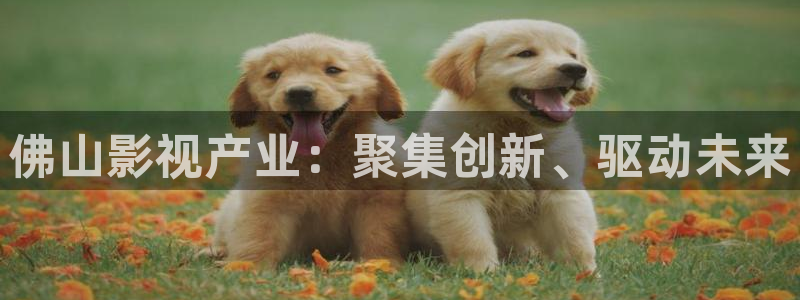 五五五电影