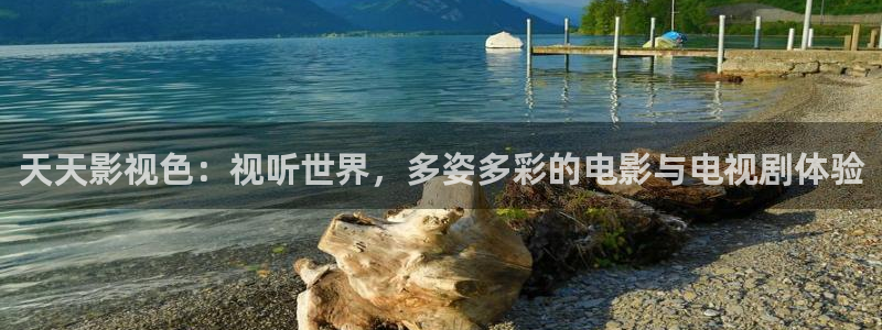 五五影视热门电视剧