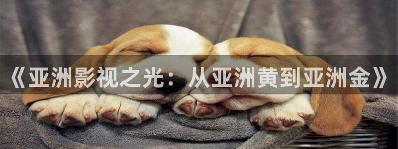 五五影院
