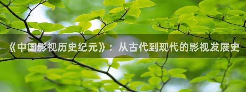 五五影视影院