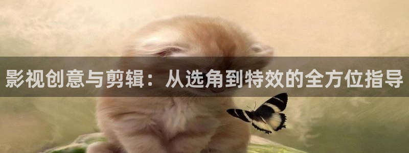 五五影院网站