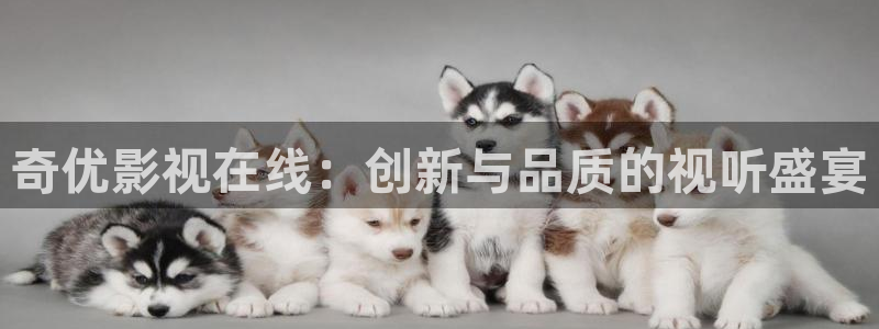 五五电影网