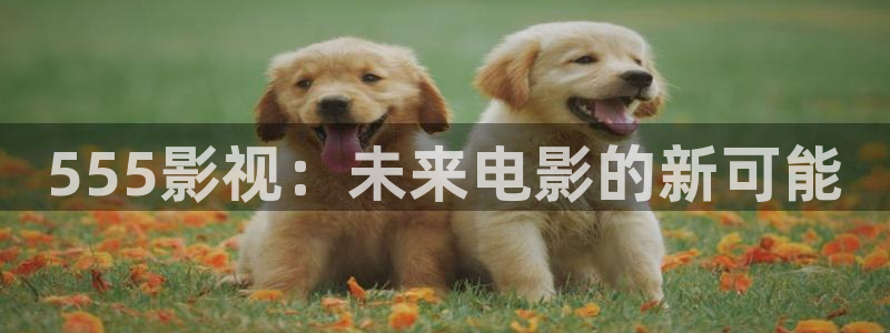 五五影院免费电视剧