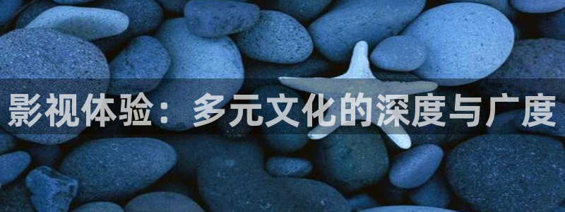 五五影视热门电视剧